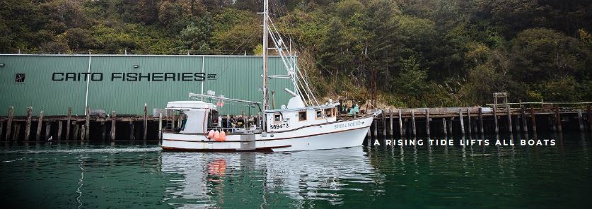 noyo harbor boat