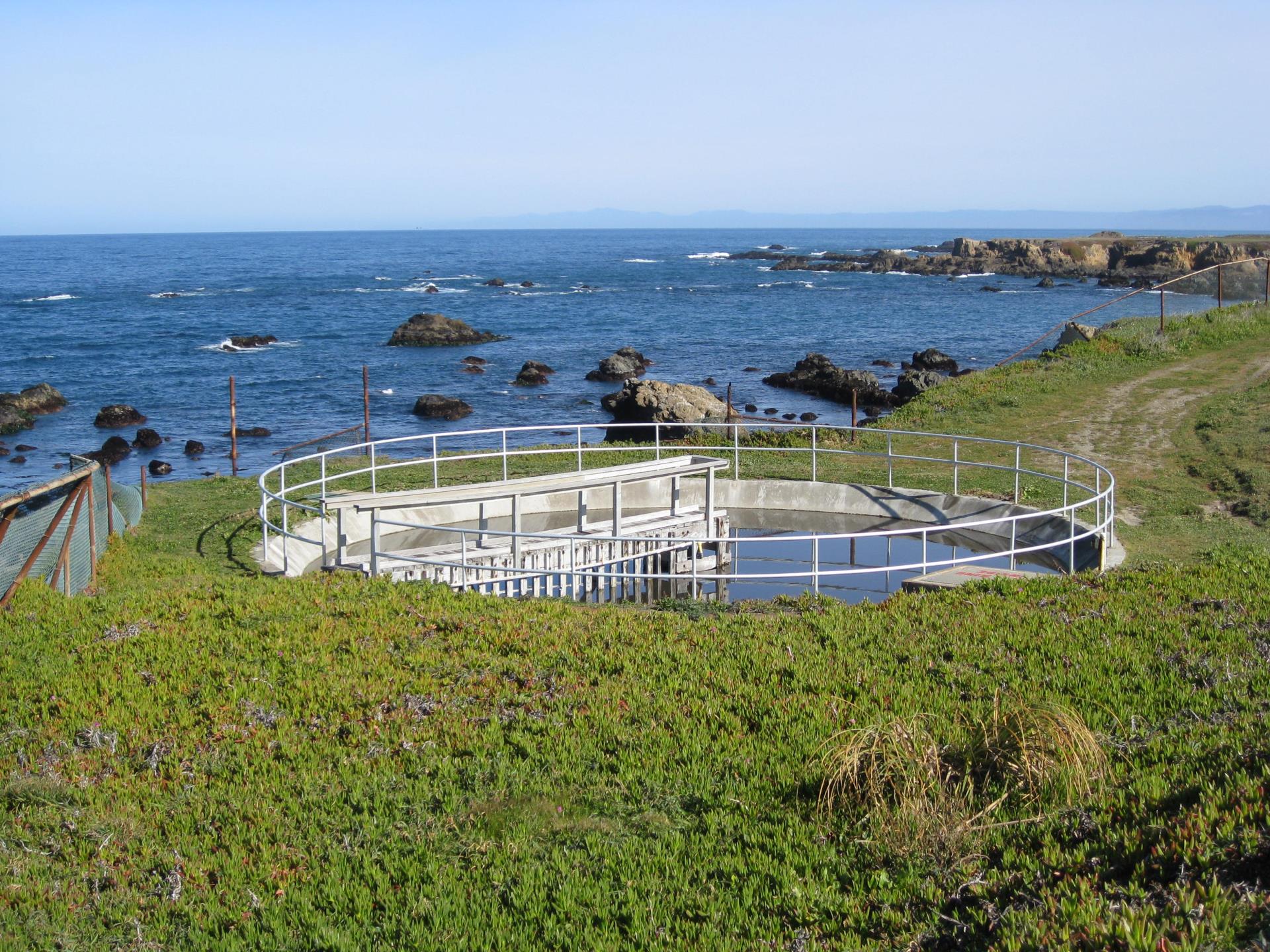 treatment pond on bluff