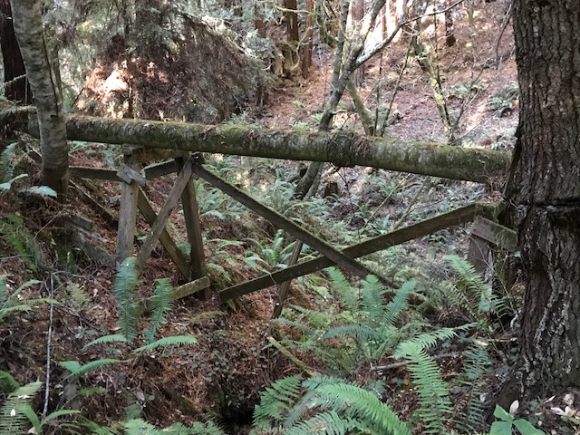 Old trestle photo